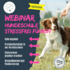 Praktische Impulse und klaren Antworten: So führst du deine Hundeschule stressfrei