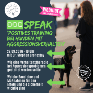 kann man aggressive Hund mit positivem Training trainieren?