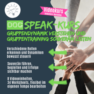So leitest du erfolgreiches Gruppentraining in deiner Hundeschule