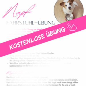 Kostenlose Übung zur Impulskontrolle bei Hunden