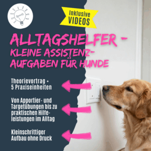 Kleine Assistenzaufgaben für Hunde